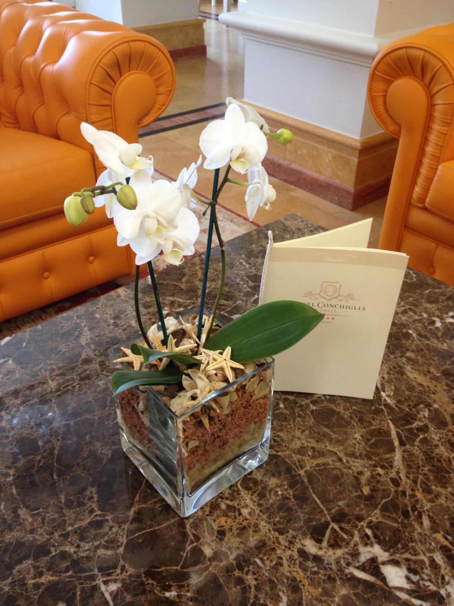 Hotel Conchiglia تّشيرفييا المظهر الخارجي الصورة